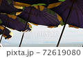 beach umbrella with blue sky 72619080