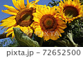 Three sunflowers 72652500