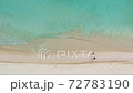 white sand beaches of tulum mexico by aerial drone  72783190