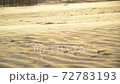 wind blowing over sand at sunset tracking shot  72783193