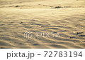 wind blowing over sand at sunset tracking shot  72783194