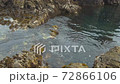 The beach between the rocks 72866106