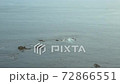 Rocks on the surface of the sea 72866551