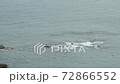A calm sea 72866552
