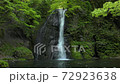 Waterfall in fresh green 72923638