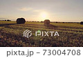 Wheat field after harvesting straw bales at sunset. Rural nature on the farm. Natural countryside landscape. Summer field with rolls of hay at sunset, countryside. 73004708