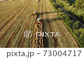 Drone flying over a combine harvester working in a wheat field. Harvesters complete the harvest. Two combines go side by side 73004717