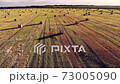Drone flight over a field with cylindrical haystacks Evening view at sunset. Flying over harvested field with collected hay bales. Landscape field meadow with hay bales after harvest. 73005090