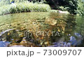 將相機浸入山間溪流的圖像 73009707