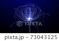 Beautiful Rose flower with glowing light and shiny particles , Hyper realistic Digital 3D animation of flower with camera movement, 3D concept Art, Closeup view, 30FPS,4k High quality, 3D render 73043125