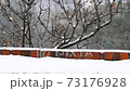 Snowy sky and snow-covered walls and trees 73176928