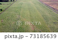 field sunhemp ( Po Thung )High angle That are blooming beautifully in Thailand 73185639