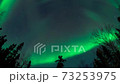 見上げるオーロラ 73253975