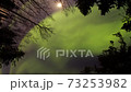 見上げるオーロラ 73253982