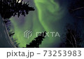 月と踊るオーロラ 73253983