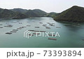 海と牡蠣筏の風景(空撮） 73393894