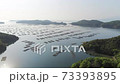 海と牡蠣筏の風景(空撮） 73393895