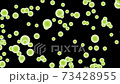 螢火蟲的光 73428955