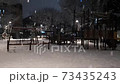 Evening in a park with a lot of snow 73435243