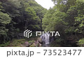 森林と滝の風景(空撮） 73523477