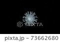 浮動冠狀病毒 73662680