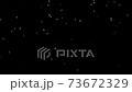 粉雪 73672329