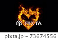 3d rendered CGI Burning Heart Loop on Black Background 73674556