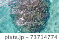[2.7K] Okinawa sea aerial view 73714774