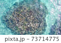[2.7K] Okinawa sea aerial view 73714775