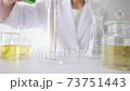 chemist working in the laboratory 73751443
