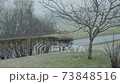 Heavily snowing on road, grass and tree 73848516