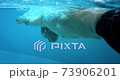Professional amputee swimmer butterfly swimming underwater in indoor pool 73906201