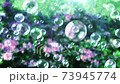 Soap bubble bubble park flower background loop 73945774