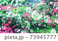 Soap bubble bubble park flower background loop 73945777