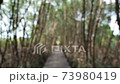 blur of walkway beside tree 73980419