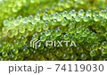 close up fresh sea grape 74119030