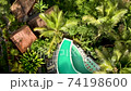 drone bali jungle resort with pool, jungle hotel, tropical village, balinese tropical hotel 74198600