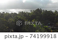 Aerial drone view tropical jungle with palm trees and clouds. Bali, Indonesia. 74199918