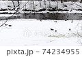 ducks on Smolenka river in winter in St. Petersburg, various angles Size: 3840x2160 Frame rate: 25 fps Color mode: natural 74234955