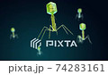 Bacteriophage virus attacking a bacterium 74283161
