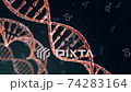 Spiral strands of DNA on the dark background 74283164
