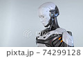 Robot's curiosity 74299128
