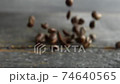 Fresh roasted coffee beans falls on a wooden table. Fresh roasted coffee in Arabica beans is prepared for grinding and making delicious coffee. 74640565