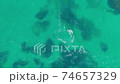 Jeju Island Windsurfing Aerial Photography 74657329