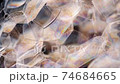 Soap bubbles. Close-up macro shot on black 74684665
