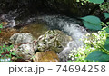 Beautiful mountain stream where the sun shines Tokyo Hinohara Village 74694258