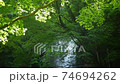 Beautiful mountain stream where the sun shines Tokyo Hinohara Village 74694262