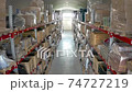 Warehouse or stock of materials, racks, boxes, containers. Shelves with goods or commodity 74727219