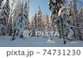 Men skier moving in a snowy woods 74731230