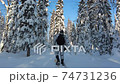 Men skier moving in a snowy woods 74731236